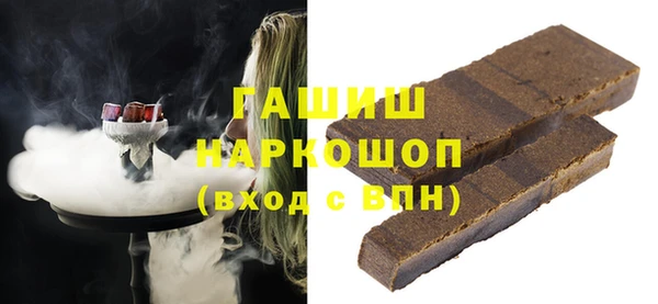 хмурый Алексин