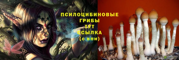 соль курить ск Алексеевка