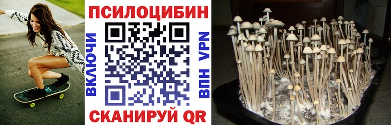 Галлюциногенные грибы мухоморы  Богучар 
